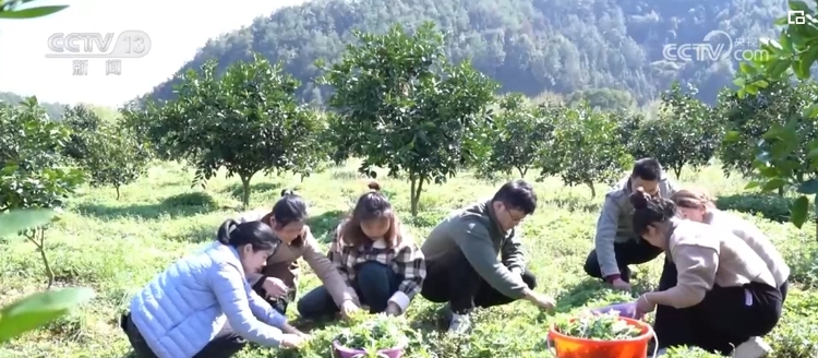 “顶流”“增量”“焕新”“强劲”……中国经济开年报数据亮眼“多点开花”