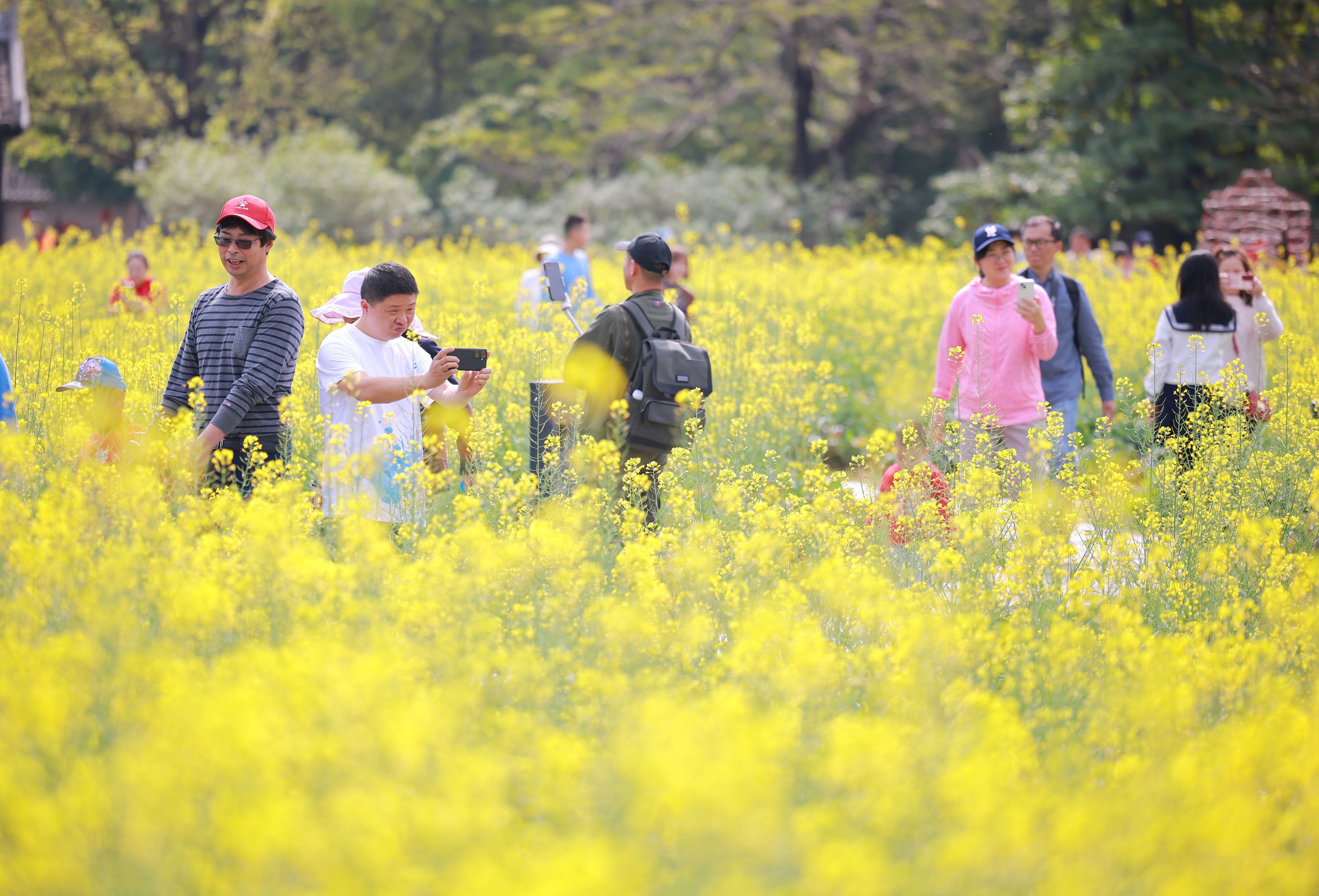 春节龙华游“火”了 文旅消费“热辣滚烫”
