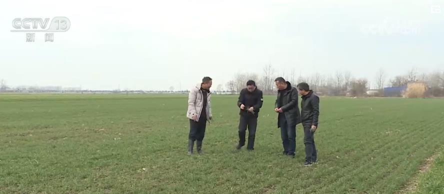 各地加强春耕春管 夯实粮食丰收基础