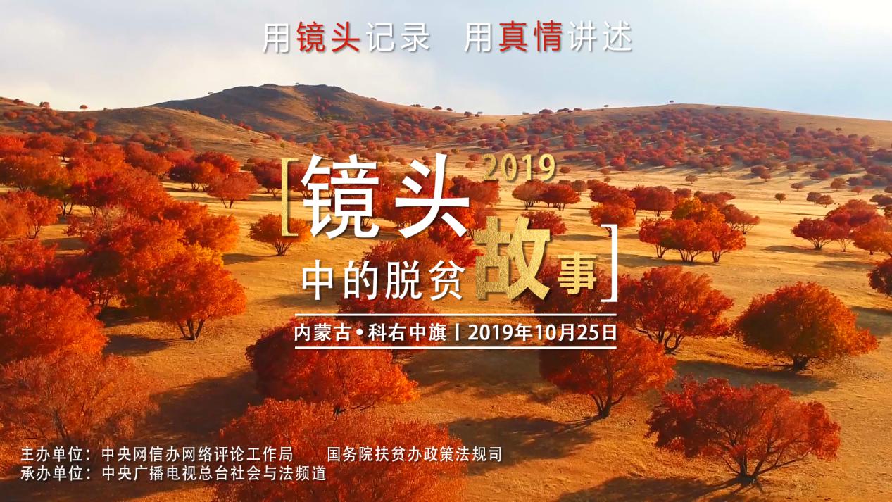 图片默认标题_fororder_nm