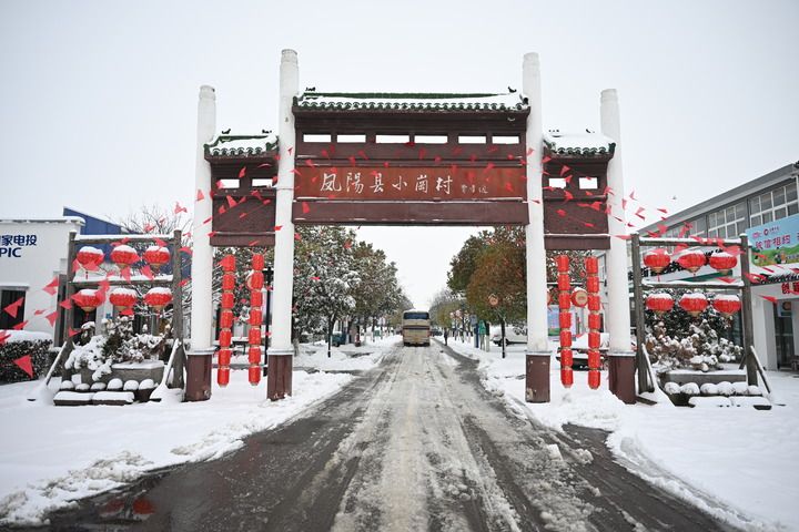 十进小岗