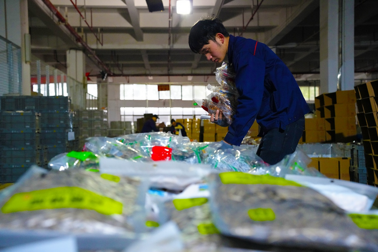 【新春走基层】湖南“年味” 挑动国际味蕾_fororder_图片3