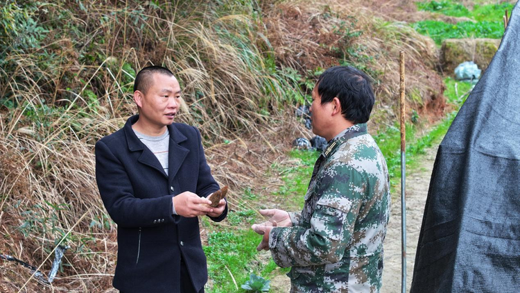 湖南衡山县：农技专家田头指导蔬菜大棚防冻保温_fororder_图片1