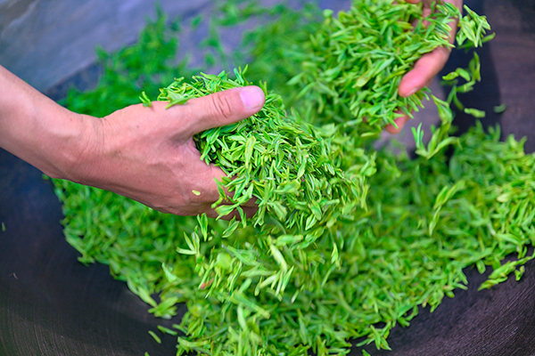 探寻花香背后的商业密码——花茶批发行业的风云变迁