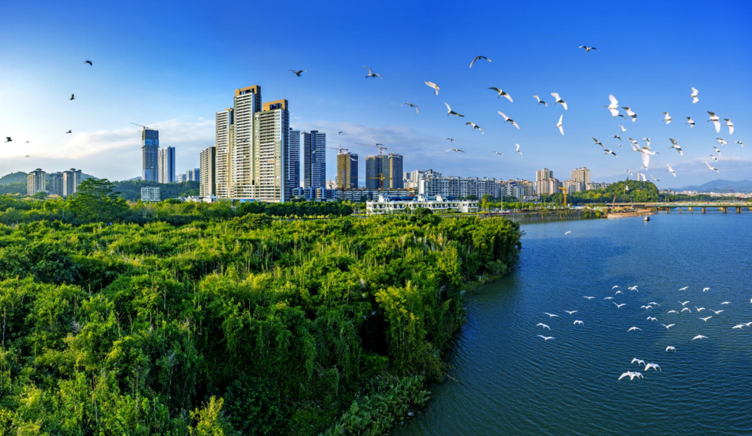 广东省“交旅融合发展”典型案例名单公布 广州增城区增江画廊入选_fororder_图片1