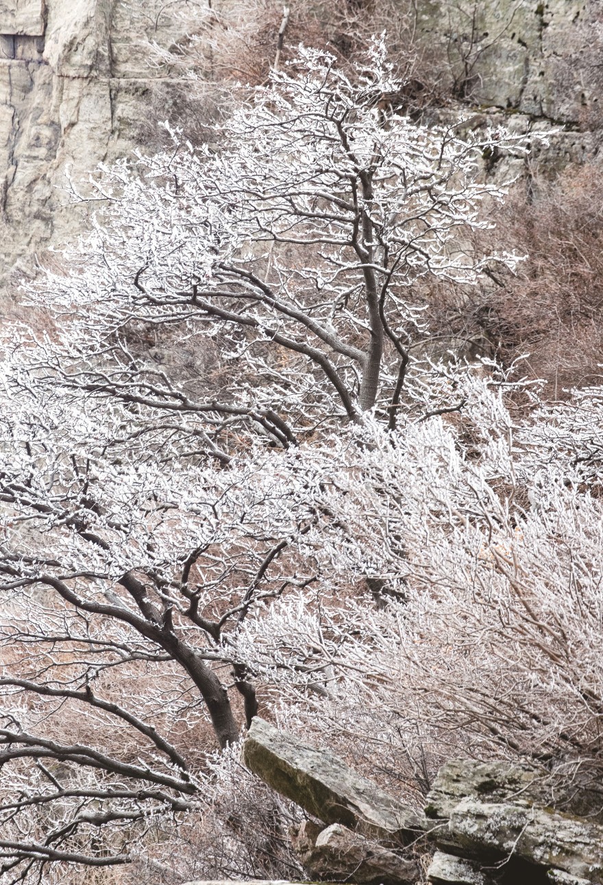 天下泰山丨雪后泰山 壮丽画卷