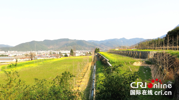 图片默认标题_fororder_2、拆除后（水泥厂）