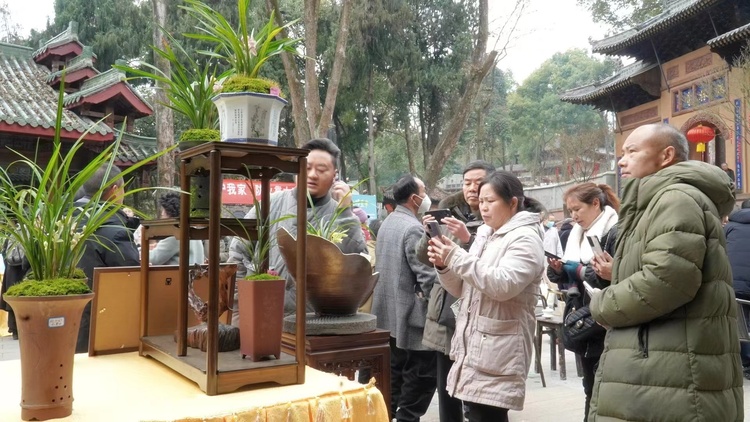 成都邛崃市：首届邛兰节开幕 “我为白鹤山种兰”公益活动启动_fororder_活动现场 供图 邛崃市委宣传部