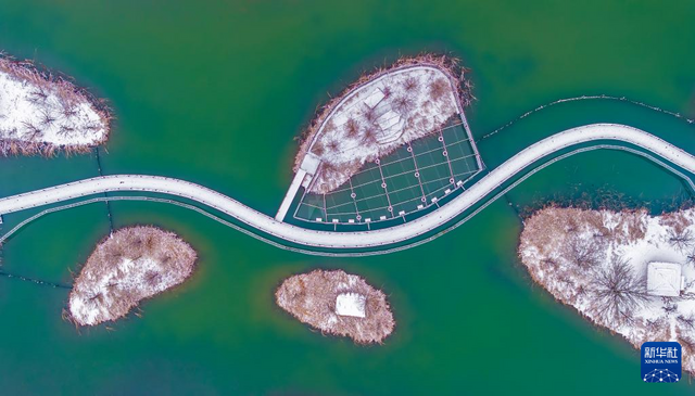 江苏泗洪：湿地公园美如画卷