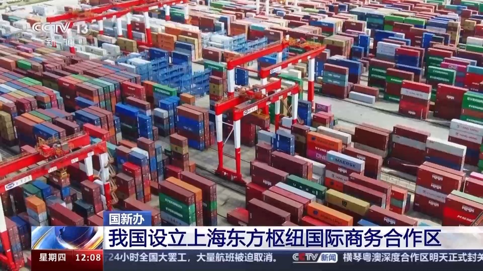 以国际商务交流为核心 我国设立上海东方枢纽国际商务合作区