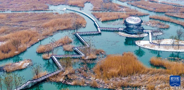 江苏泗洪：湿地公园美如画卷