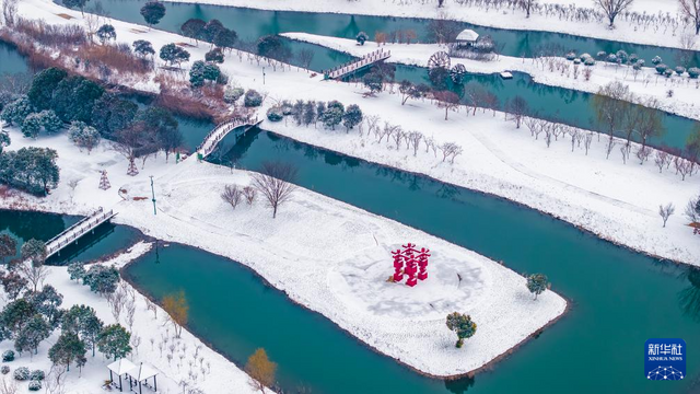 江苏泗洪：湿地公园美如画卷