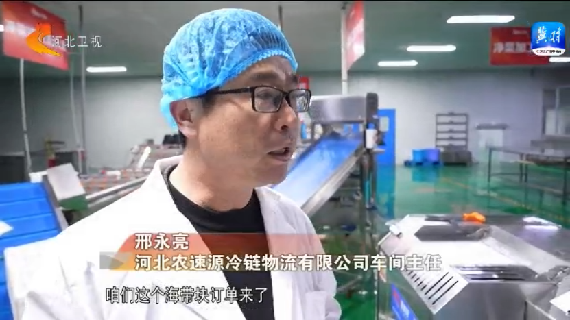 【京津冀 十年同心向未来】“河北净菜”飘香京城 “有滋有味”美好生活