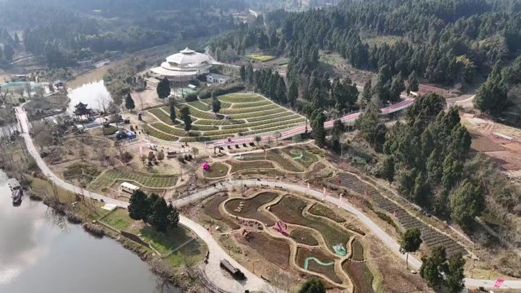 图集｜资阳雁江天府花溪：郁金香绽放春意浓_fororder_航拍花溪河