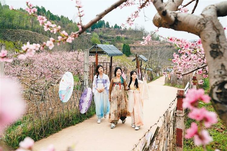 感受“十里桃花”的浪漫 临潼区仁宗街道桃花季游园活动启动_fororder_微信图片_20240402084822