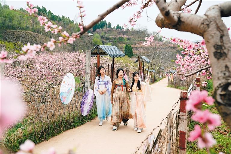 感受“十里桃花”的浪漫 临潼区仁宗街道桃花季游园活动启动_fororder_微信图片_20240402084822