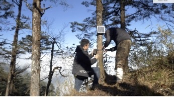 （转载）保护野生动植物 成都整了“科技与狠活”