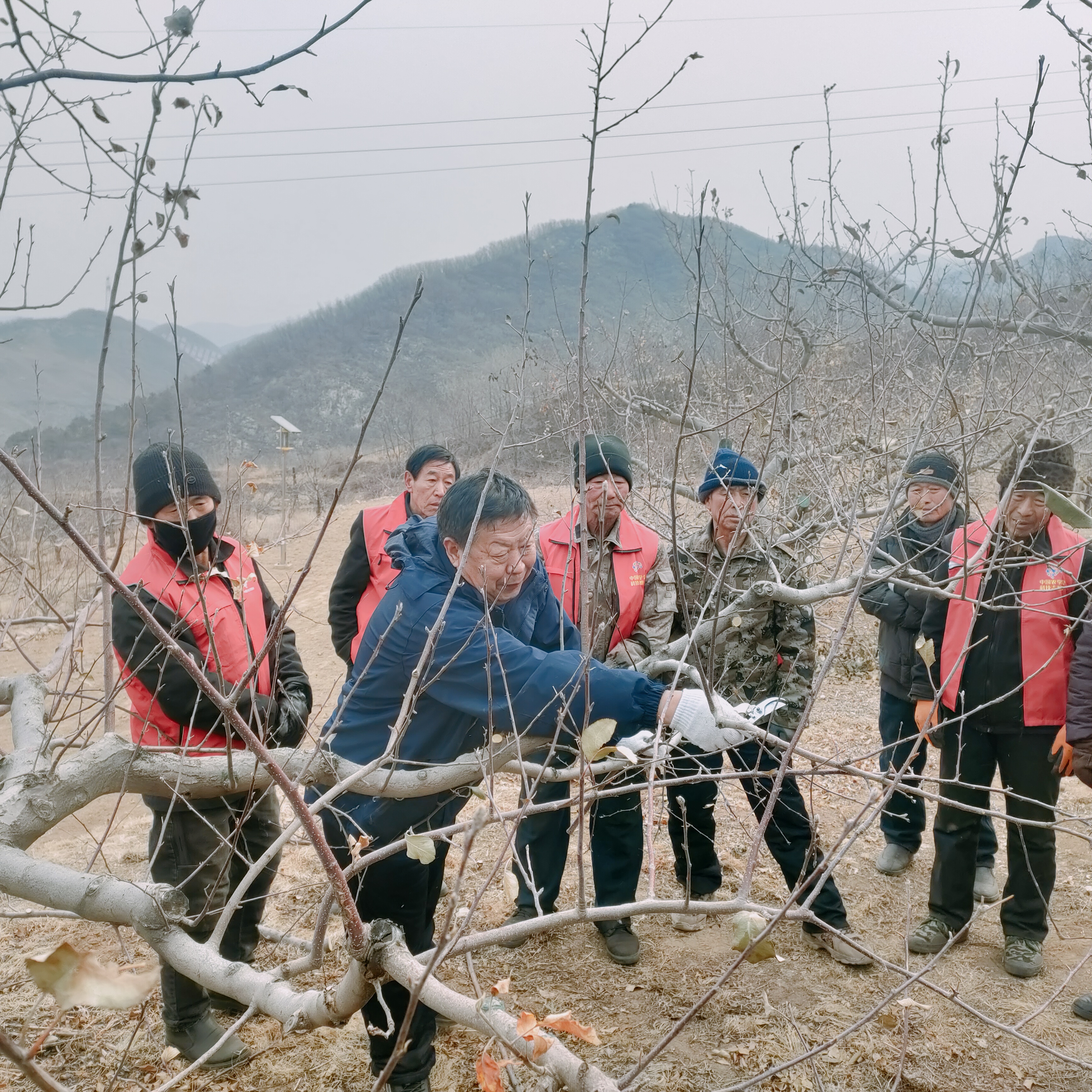 河北承德县：果树“巡剪”正当时 提质增效促增_fororder_图一为：志愿者为果农们现场讲解果树管护知识。高兴国 摄