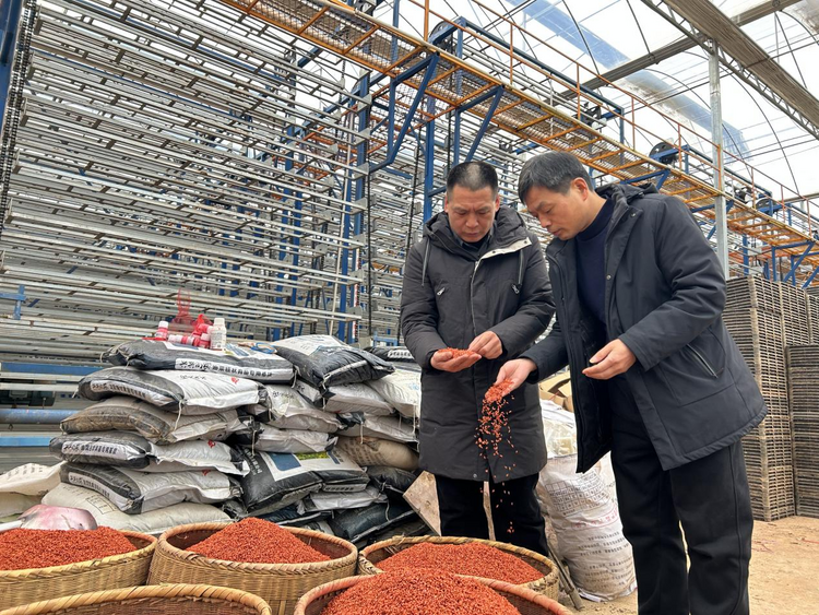 湖南衡山县：早稻育秧正当时 农技专家助力丰收_fororder_图片1