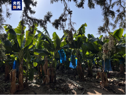 记者手记丨黎巴嫩与以色列：一场看不到尽头的冲突
