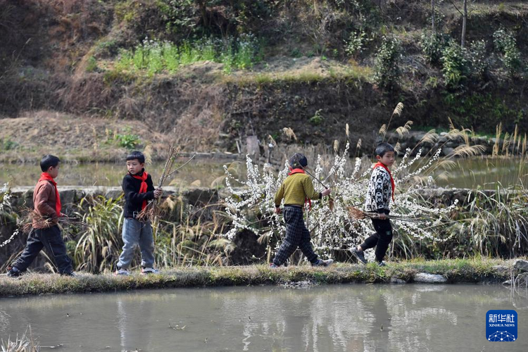 他们坚持每年种树 守护绿水青山