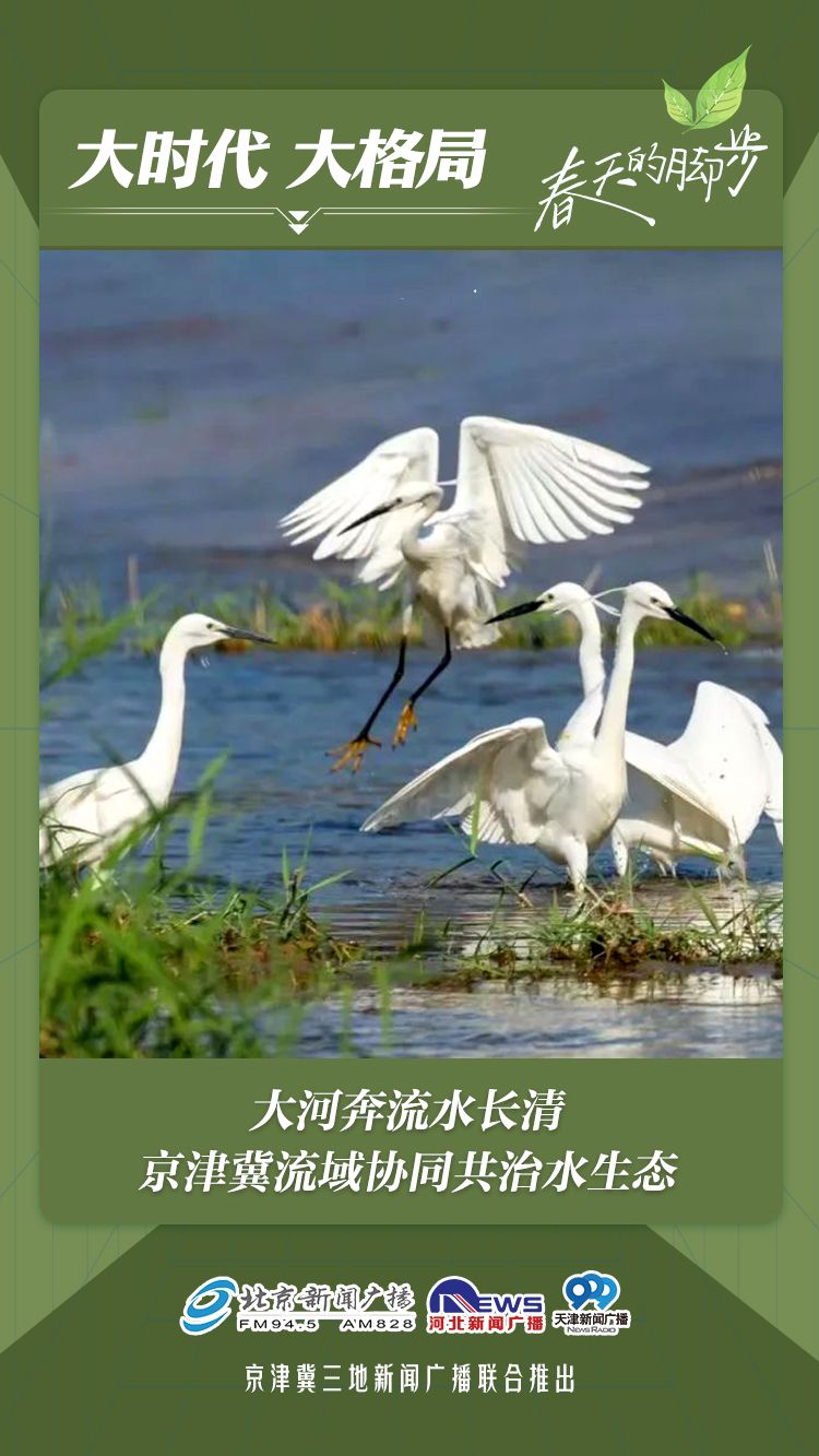 大时代 大格局 | 大河奔流水长清，京津冀流域协同共治水生态
