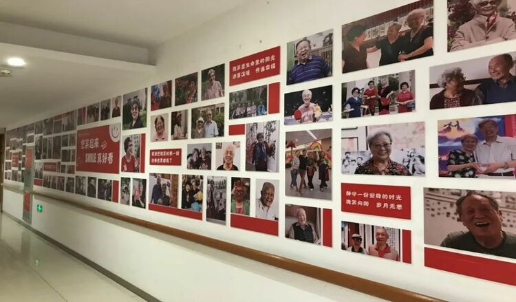 大时代 大格局 | 协同之花瓣瓣同心 京津冀携手惠民生