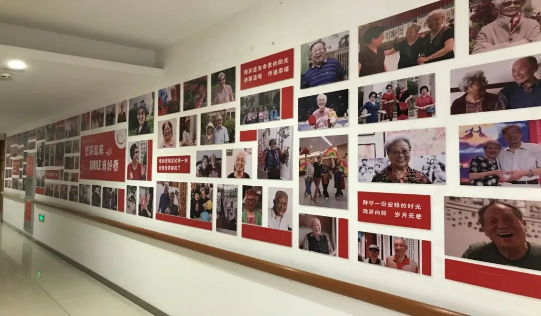大时代 大格局 | 协同之花瓣瓣同心 京津冀携手惠民生