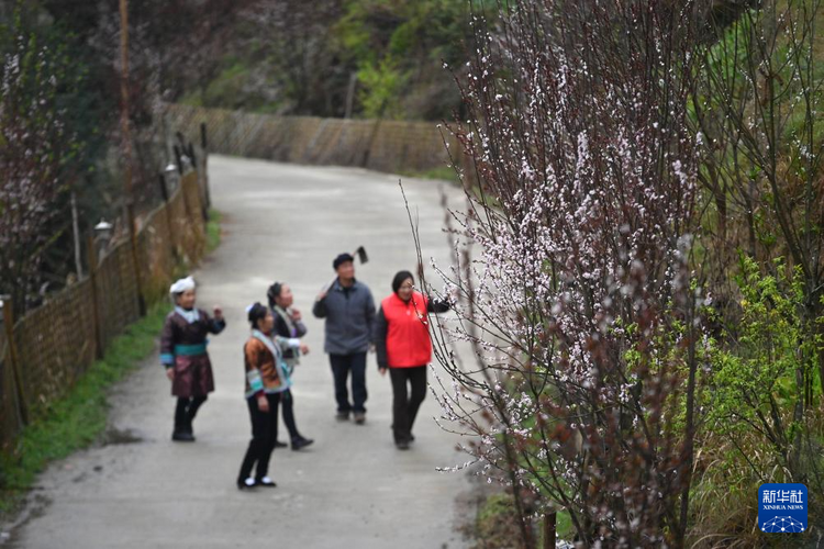 他们坚持每年种树 守护绿水青山