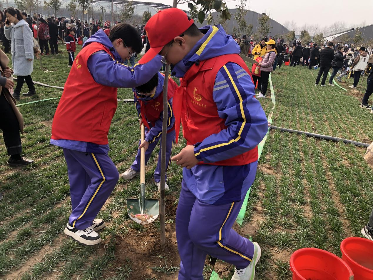 石家庄市新华区：开展丰富多彩的植树节活动_fororder_图片 3