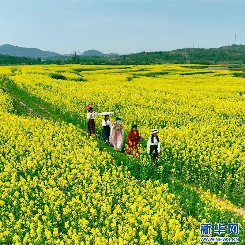 湖北鄂州：繁花似锦 春满鄂城