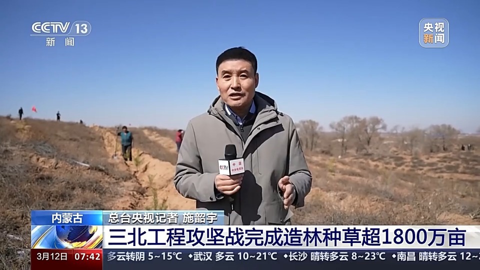 人工林面积世界第一！世界近20年增绿的四分之一都由中国贡献