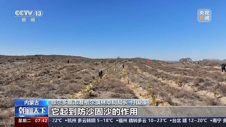 人工林面积世界第一！世界近20年增绿的四分之一都由中国贡献