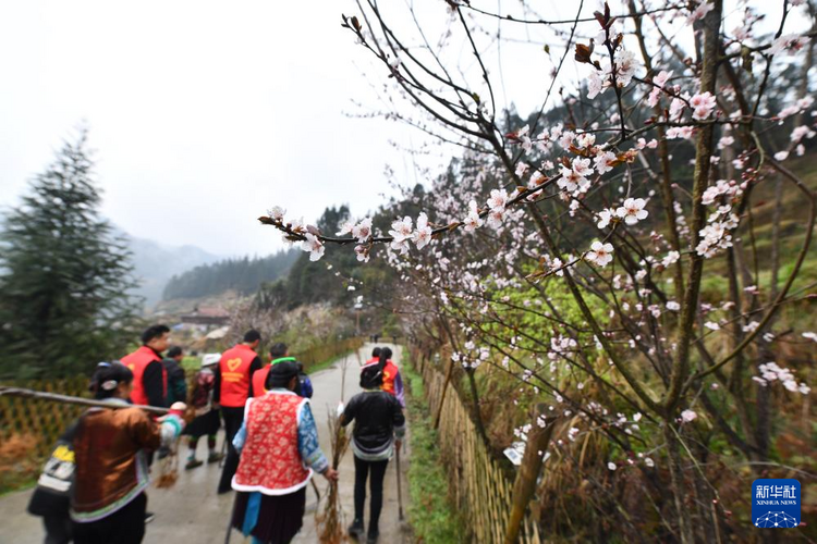 他们坚持每年种树 守护绿水青山