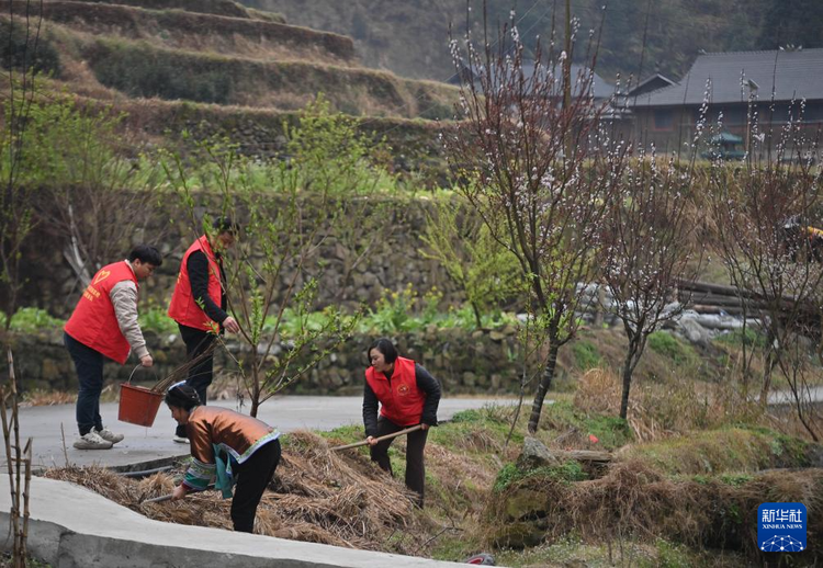 他们坚持每年种树 守护绿水青山