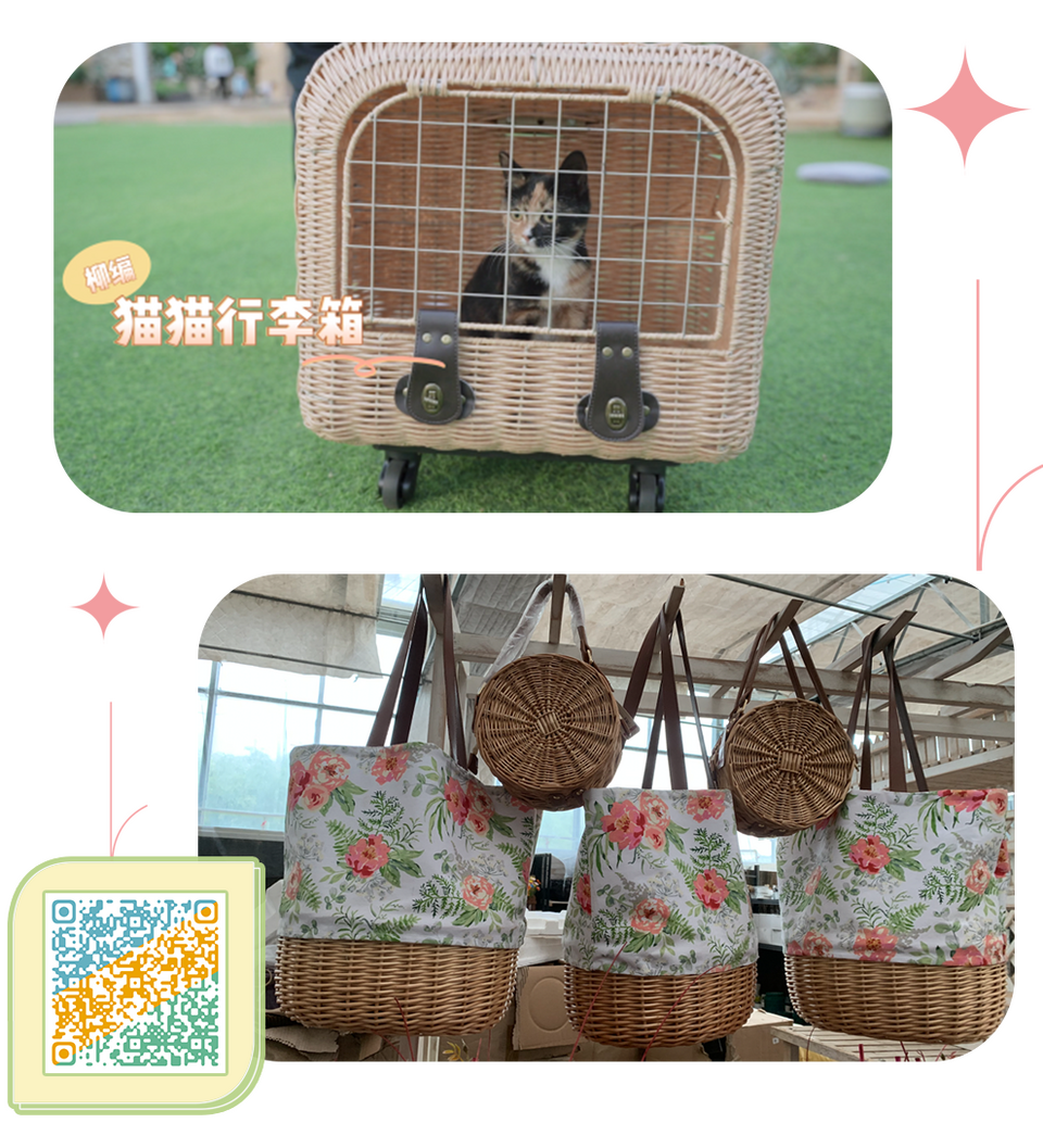 总台周看点｜欣欣然，“新新然”！