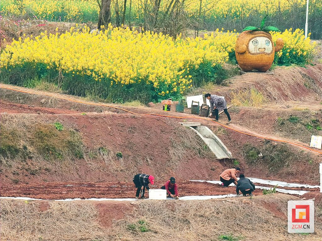 （转载）自贡荣县：绘好“春耕图” 孕育“丰收景”