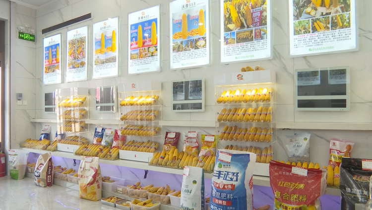 北国春来早丨佳木斯同江市：农资储备“粮草足” 备春耕按下“加速键”_fororder_图片2
