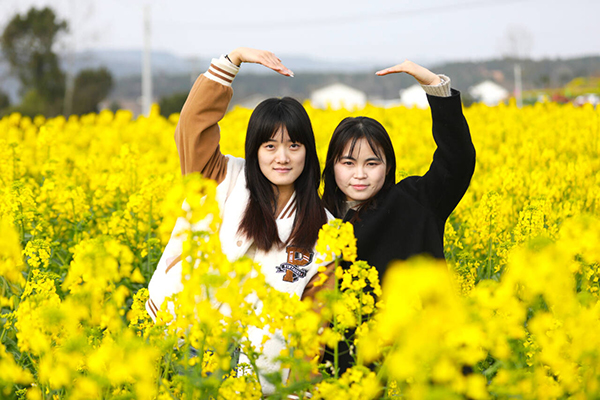 广元昭化油菜花：颜值与产值齐飞_fororder_A[10R8~2%DG`EQYR6MD)_KR