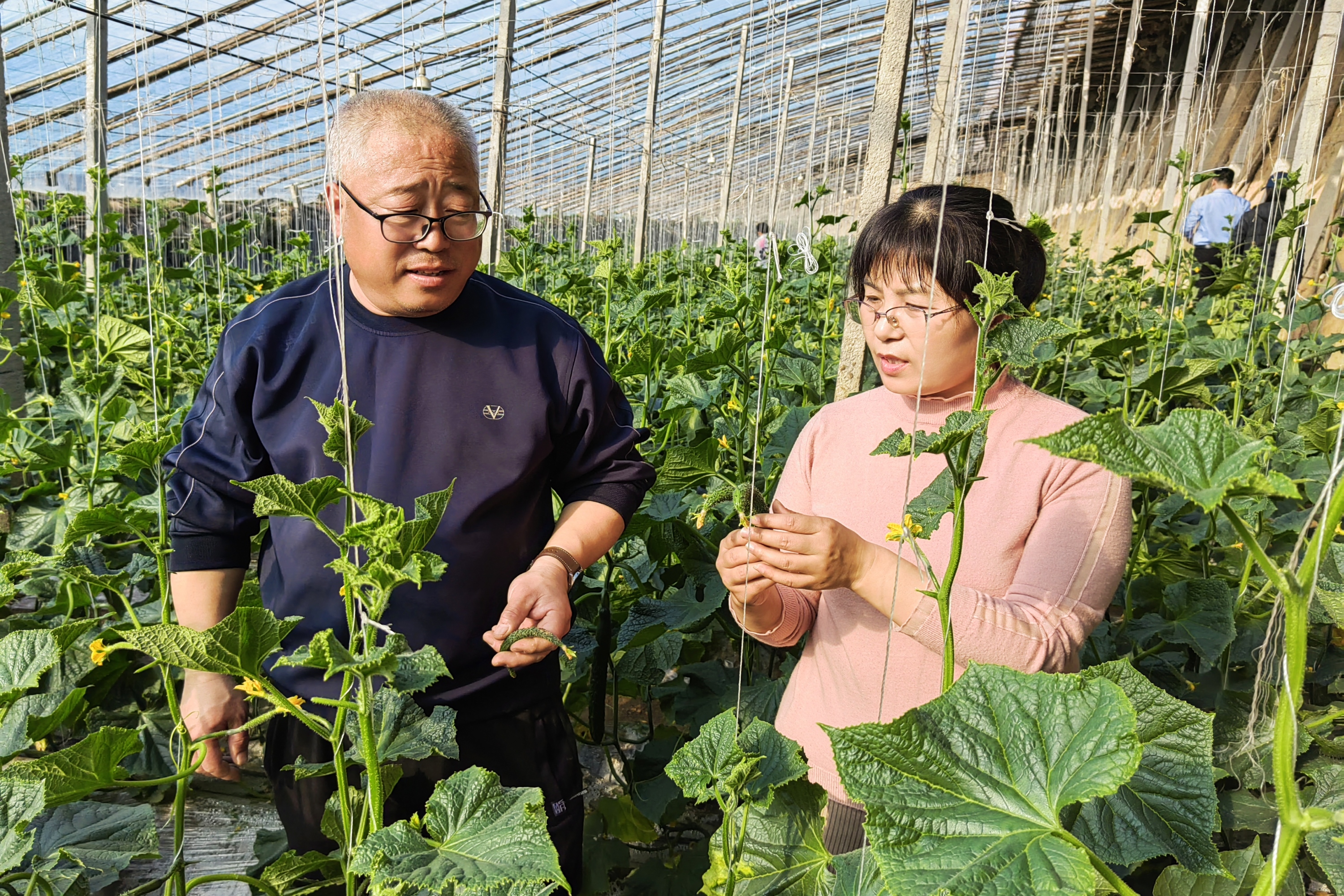 河北定兴：抢抓农时“备战”春耕春管