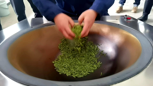 访长江首城 看宜路精彩｜宜宾屏山：小叶子撬动“大产业”_fororder_手工制茶，摄影-何芳