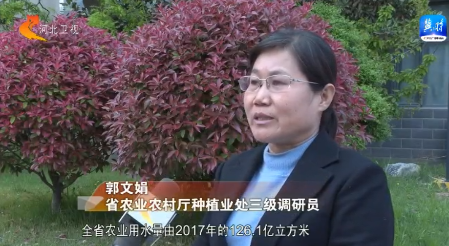 河北：拧紧农业用水“水龙头” 小麦丰产又节水