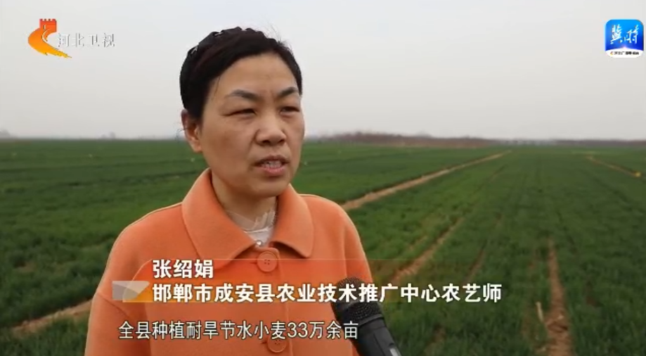 河北：拧紧农业用水“水龙头” 小麦丰产又节水