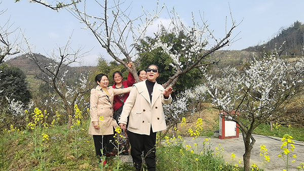 2024年宜宾市筠连县第十五届春风李花季活动开幕_fororder_游客在李花下唱歌留影-摄影-何芳