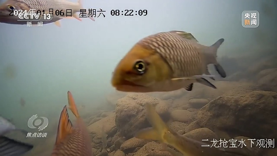 焦点访谈丨生态退化→水清岸绿 三省交出赤水河治理新答卷