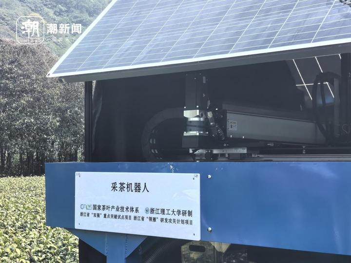 杭州茶园龙井芽叶，被机器人采下_fororder_1770759704130244608_720px