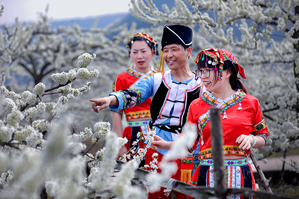 达州宣汉：万亩李花肌如雪 笑迎四面八方客_fororder_1-(7)