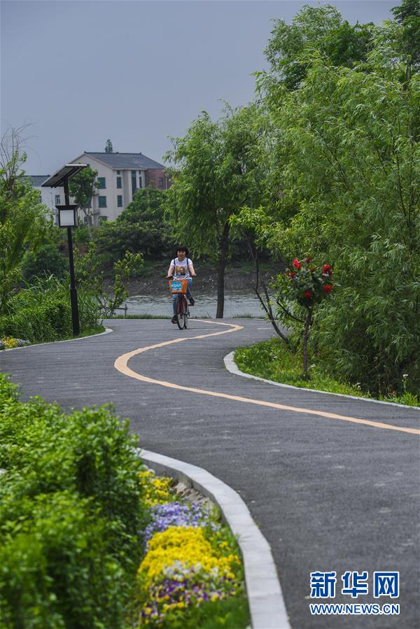 浙江塘栖镇：乡村百姓乐享春季乡村美景
