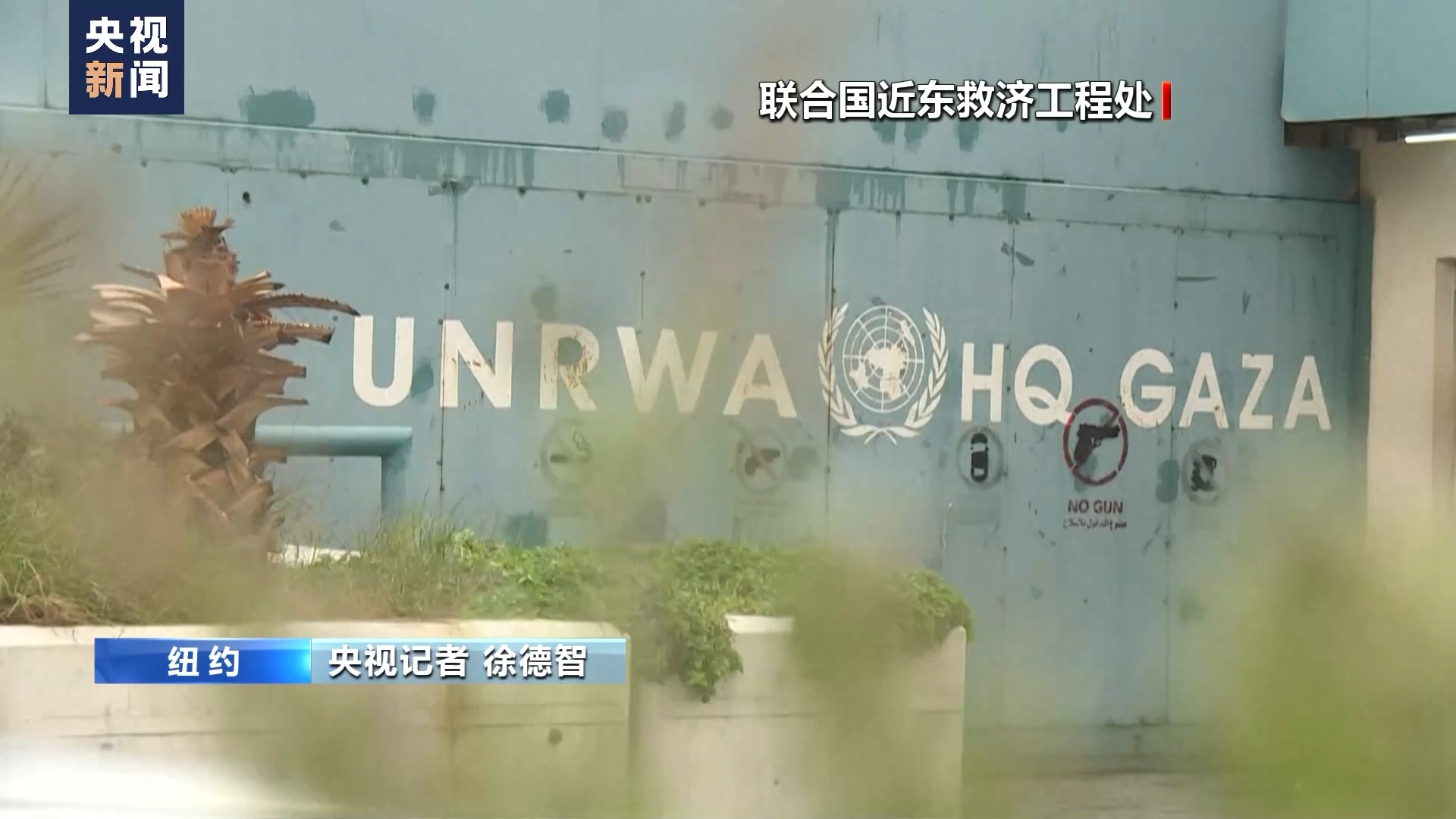 记者观察丨美国提交的巴以问题决议草案为何会遭否决？