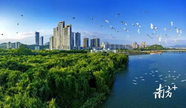 一镇街一线路！“骑遇增城 快乐骑行”首站在派潭开幕_fororder_10